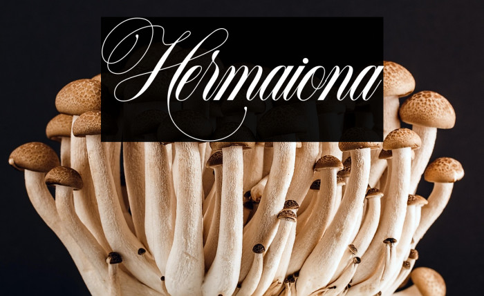 Hermaiona Example 3