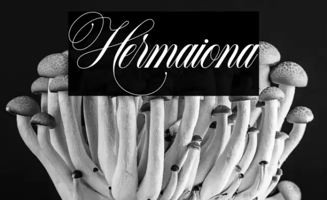 Hermaiona Font examples