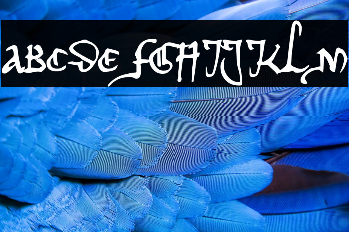 Herman Decanus AH Example 1