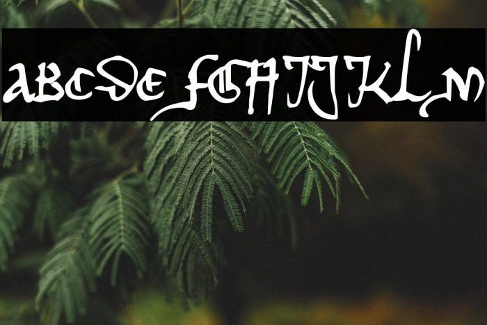 Herman Decanus AH Example 2