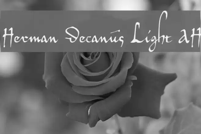 Herman Decanus Light AH Font examples