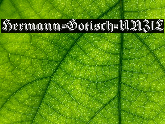 Hermann-Gotisch-UNZ1L Font examples