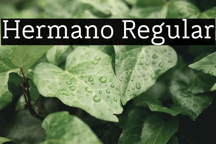 Hermano Regular Font examples