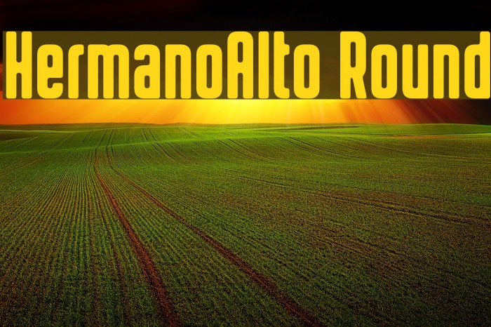 HermanoAlto Round Font examples