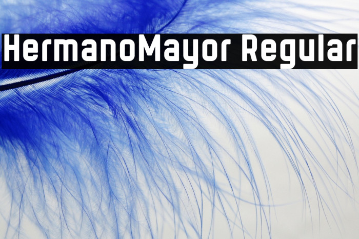 HermanoMayor Regular Example 2