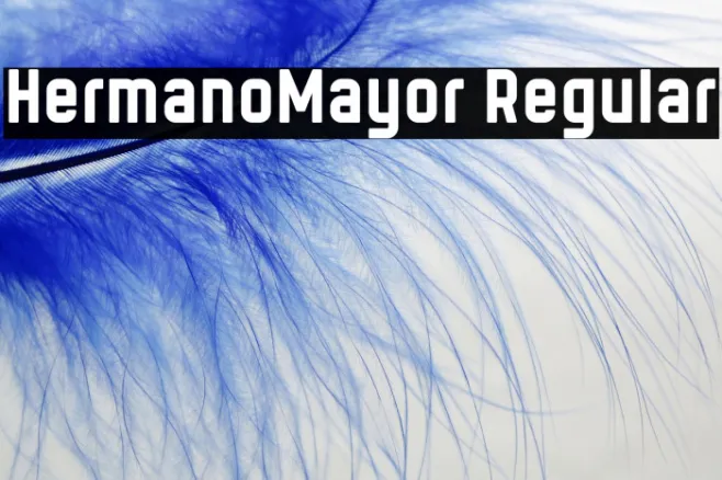 HermanoMayor Regular Example 2
