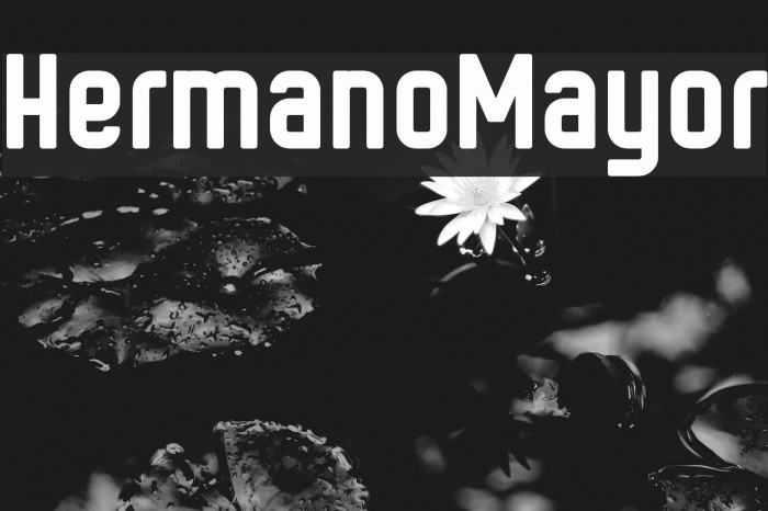 HermanoMayor Font examples