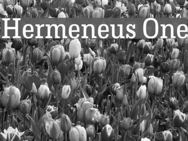 Hermeneus One Font examples