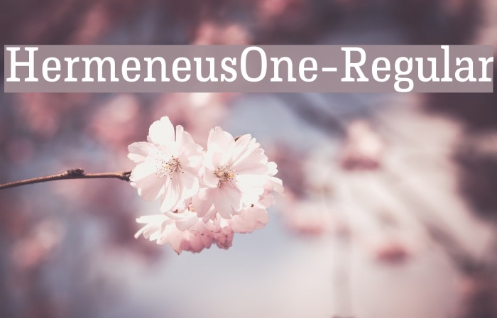 HermeneusOne-Regular Font examples