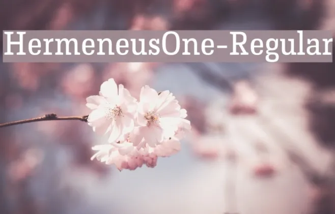 HermeneusOne-Regular Example 2