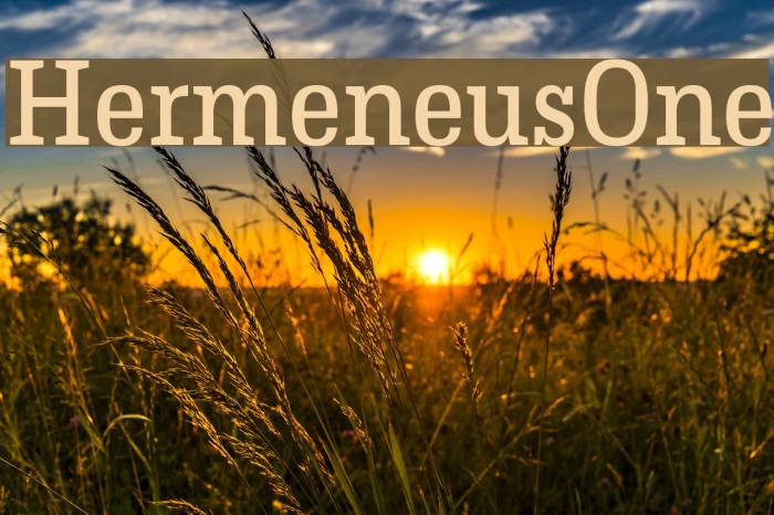 HermeneusOne Font examples