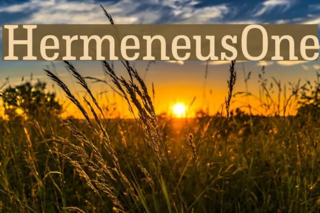 HermeneusOne Example 1