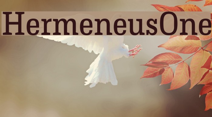 HermeneusOne Font examples