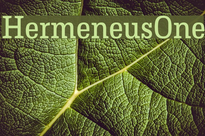 HermeneusOne Font examples