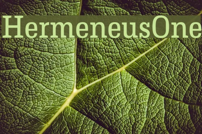 HermeneusOne Example 3