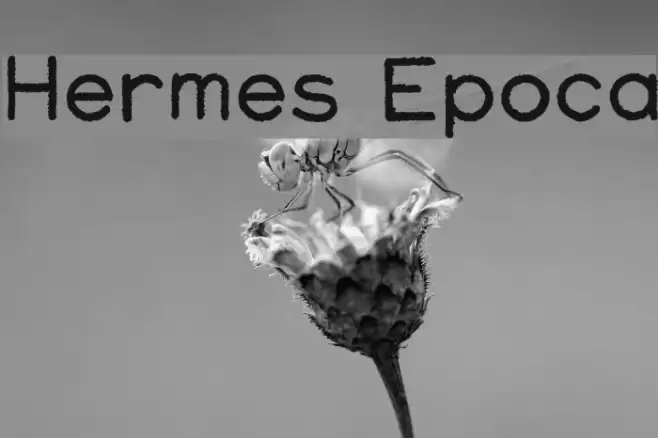 Hermes Epoca Font examples