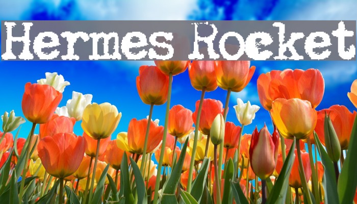 Hermes Rocket Font examples