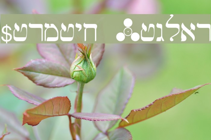 Hermetic Regular Example 1