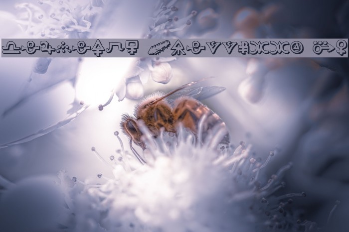 Hermetic Spellbook 3D Font examples