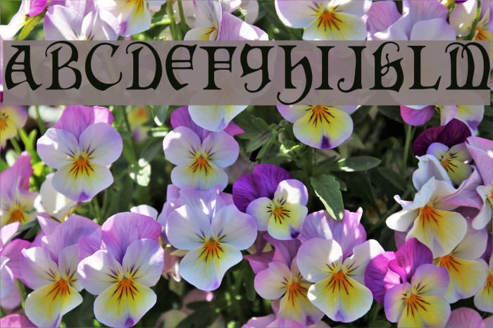 Hermia!` Font examples