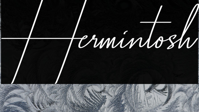 Hermintosh Example 2