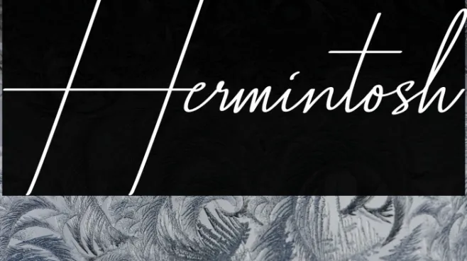 Hermintosh Example 2