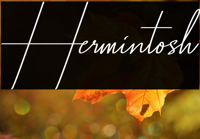 Hermintosh Example 3