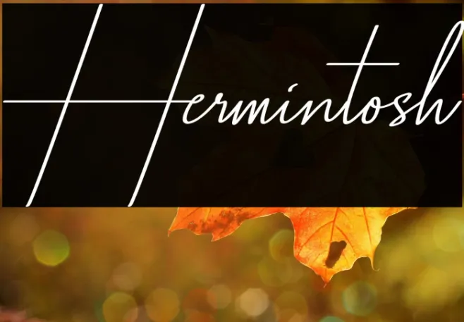 Hermintosh Example 3