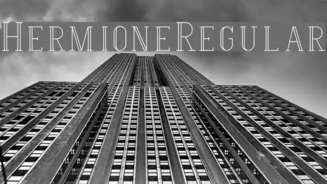 Hermione-Regular Font examples