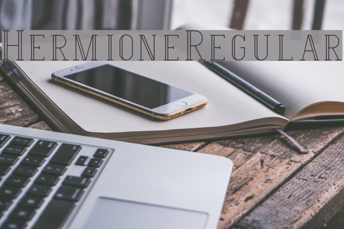 Hermione-Regular Font examples
