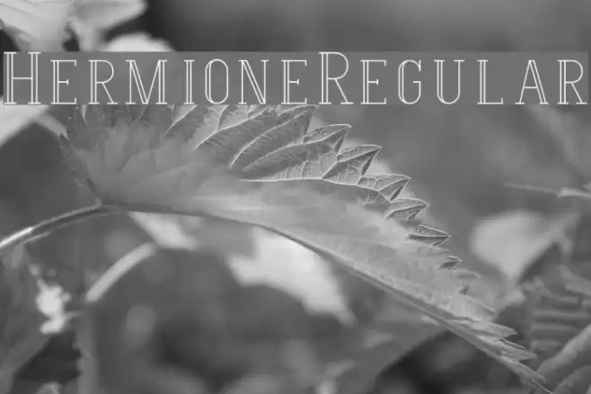Hermione-Regular Font examples