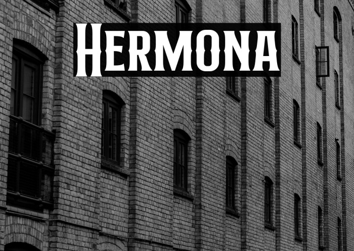 Hermona Example 2