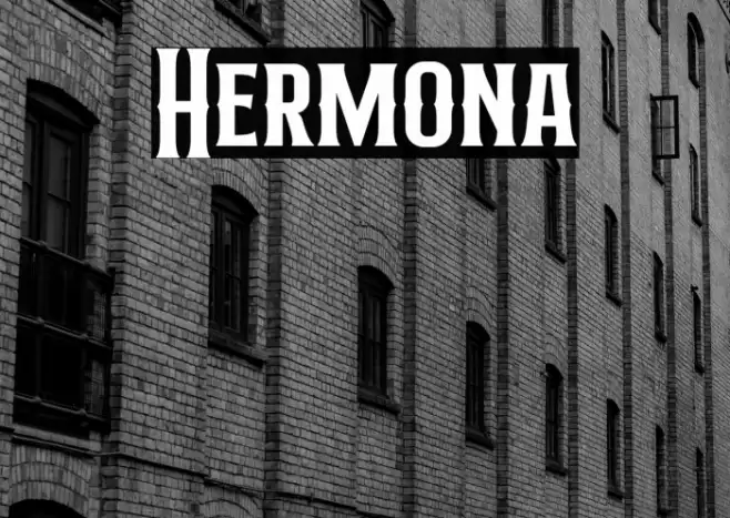 Hermona Font examples