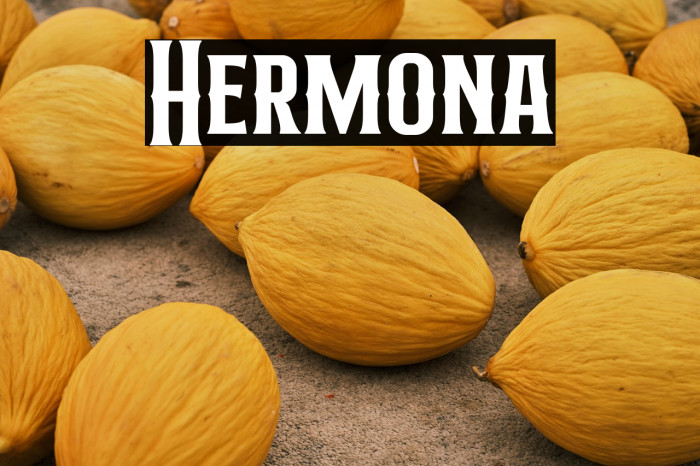 Hermona Example 3