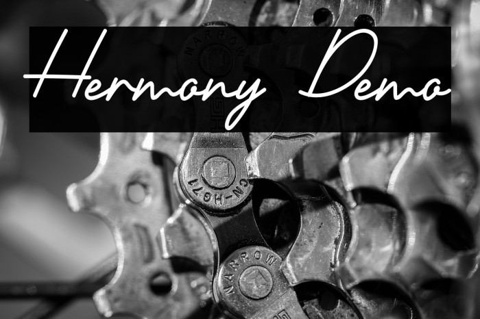 Hermony Demo Example 1