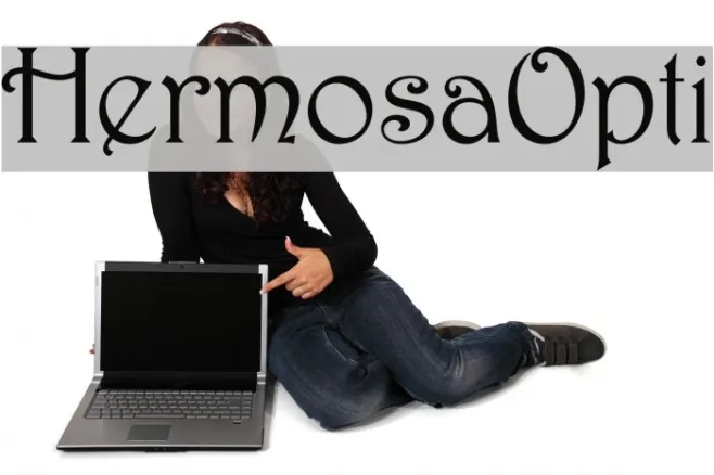 HermosaOpti Example 1