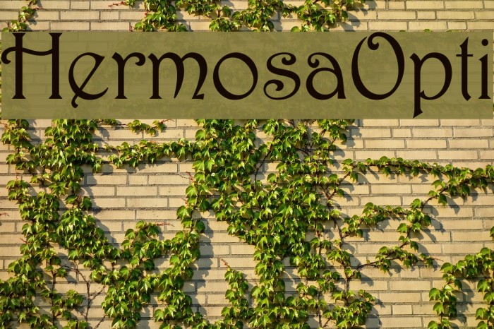 HermosaOpti Font examples