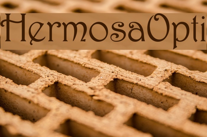 HermosaOpti Font examples