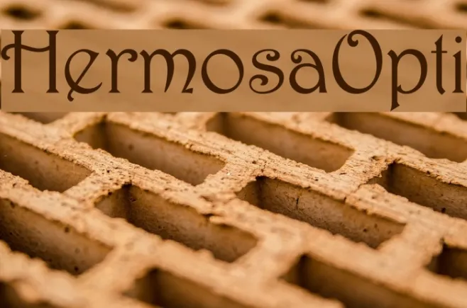 HermosaOpti Example 3