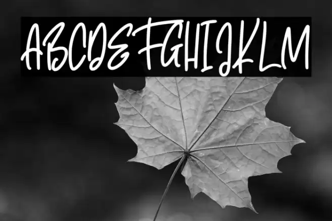 Hermosillo Font examples