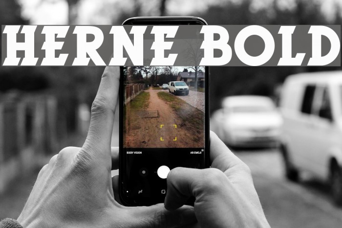 Herne Bold Font examples