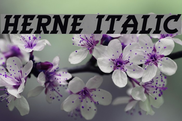 Herne Italic Example 1