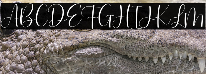 Hernitta - Personal Use Example 1