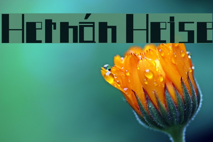Hernán Heise Font examples