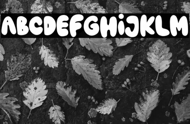 Hero Fest Font examples