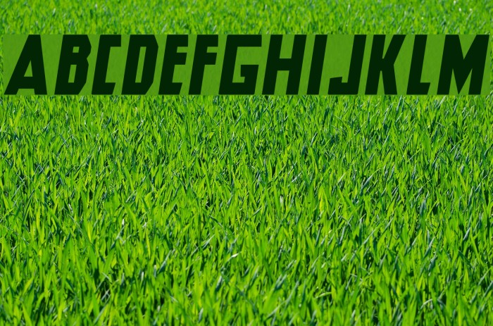 Hero Italic Font examples