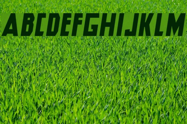 Hero Italic Example 2
