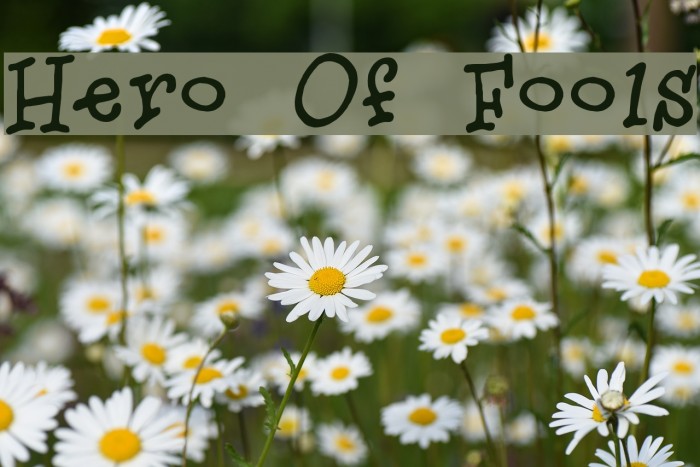 Hero Of Fools Font examples
