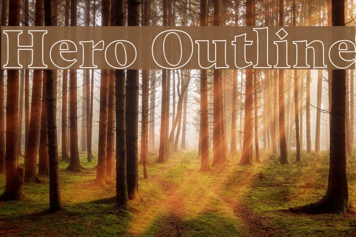 Hero Outline Example 2