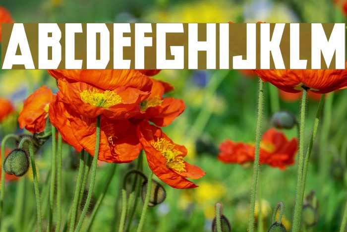 Hero Regular Font examples